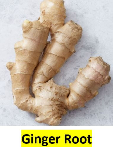 Obat Herbal Untuk Kehamilan ginger root